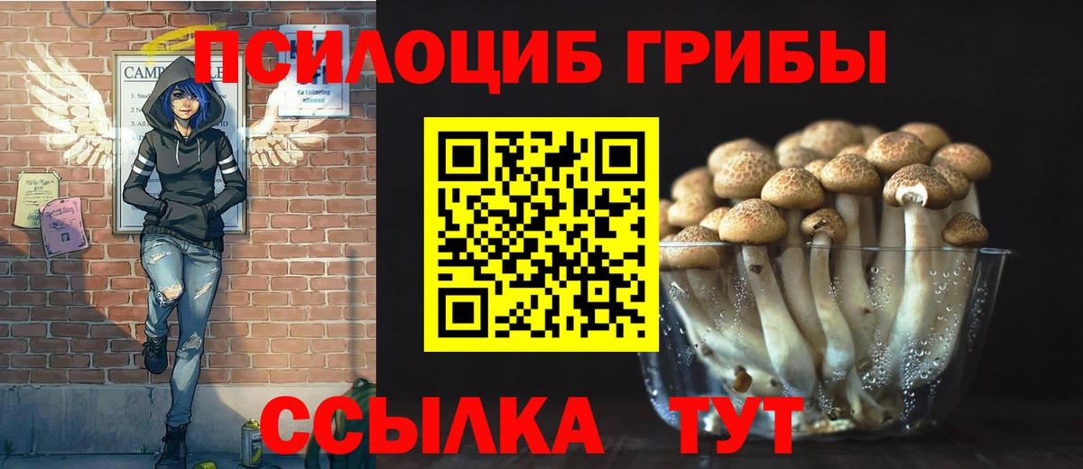 Псилоцибиновые грибы ЛСД  Галлюциногенные грибы MAGIC MUSHROOMS  Кострома  Вход с VPN 